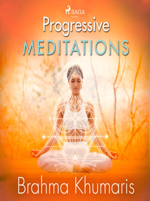 cover image of Progressive Meditations
